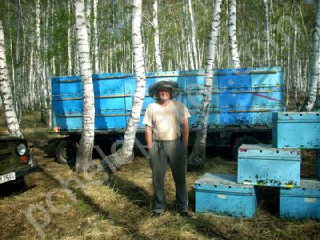 Доставка пчелопакетов в Омск